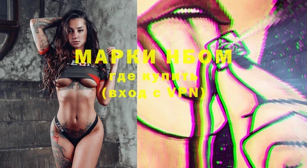 мдпв Володарск