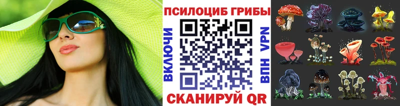 купить   гидра   Галлюциногенные грибы Cubensis  Десногорск 